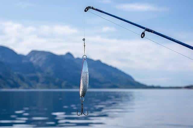 canne à pêche pêcher loisir activité sport Tenryu équipement marque poisson appât